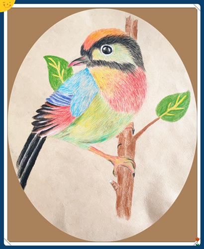 艺术实践作品展播 绘画 彩铅画《小鸟》扫一扫,分享本页 版权