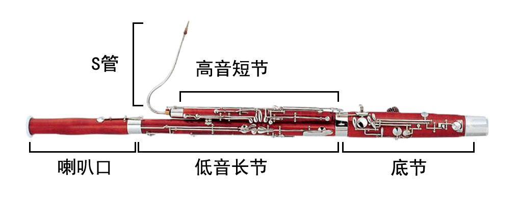 巴松由喇叭口,s管,高音短节,低音长节,底节组成.