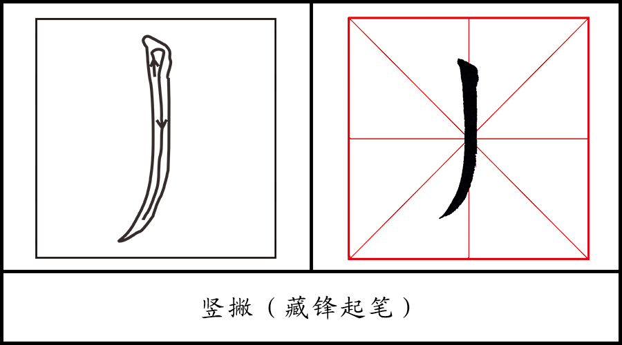 基础笔画解析—藏锋竖撇