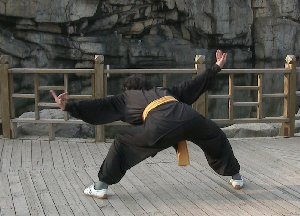 26.抱球上涮左倒插步右弹脚27.搂球右耙脚28.上左步左钩手右抹脖29.