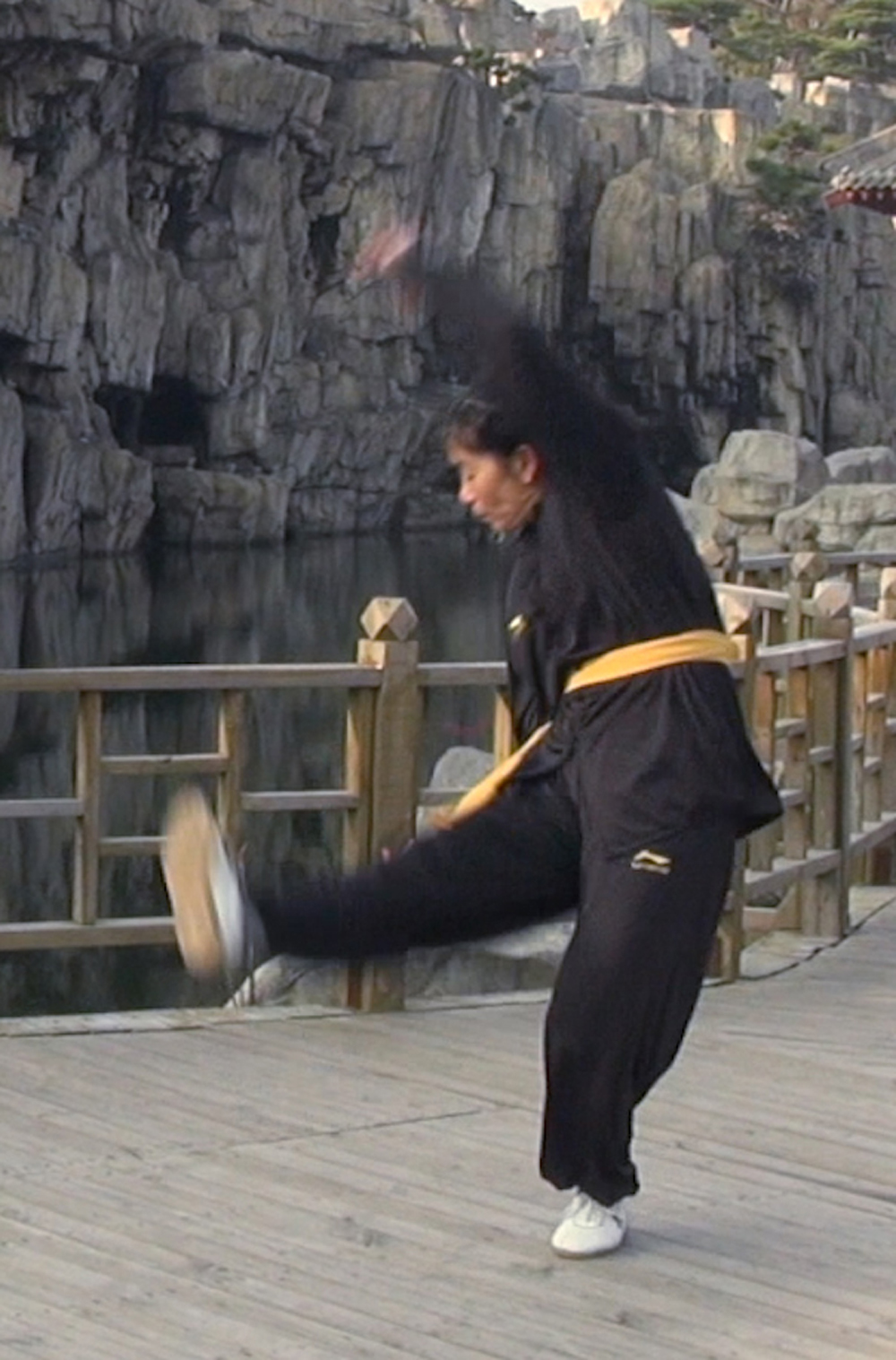 涮缸柔身玉环步大连环开胸合掌双击球35.推球入山36.