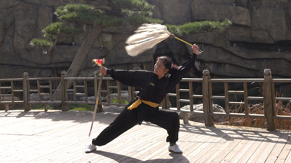 11.滚龙翻身平刺12.青龙双手倒把舞花 后平上撩剑13.