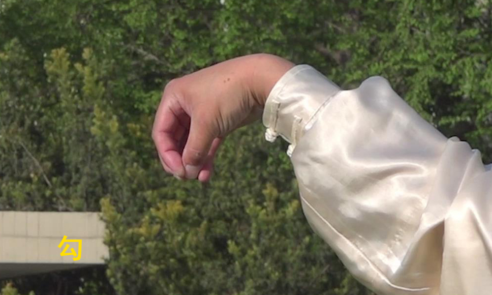 掌:四指并拢伸直,拇指弯曲紧扣于虎口处,拳心向前为立掌,拳心向下为平