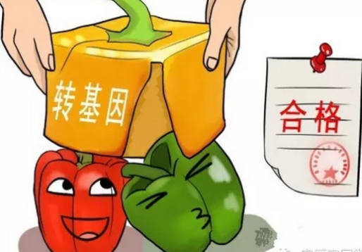 转基因食品安全吗